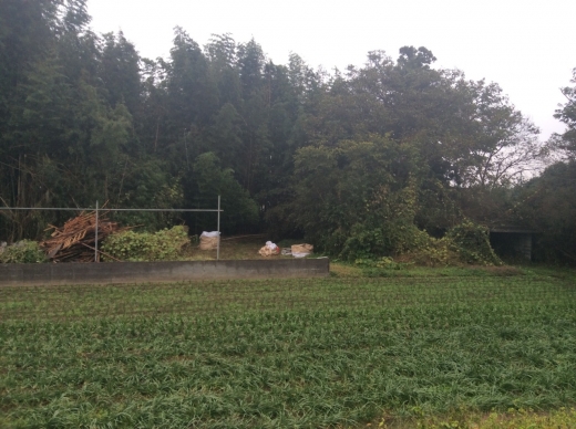 野立て太陽光の下地工事